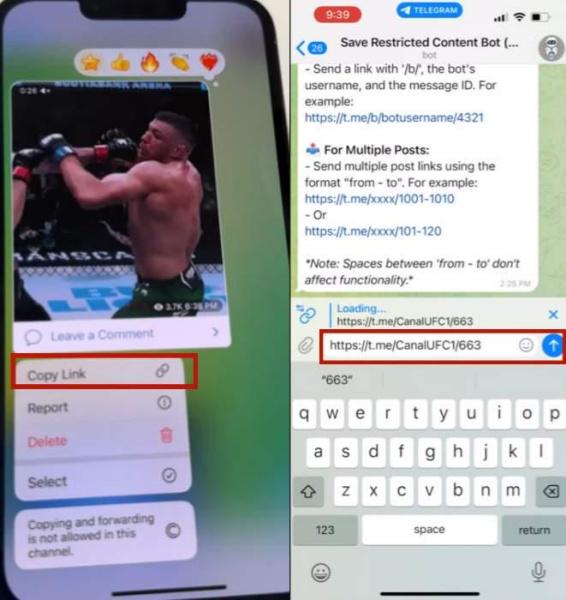 Video durch Bot aus privaten Channel downloaden