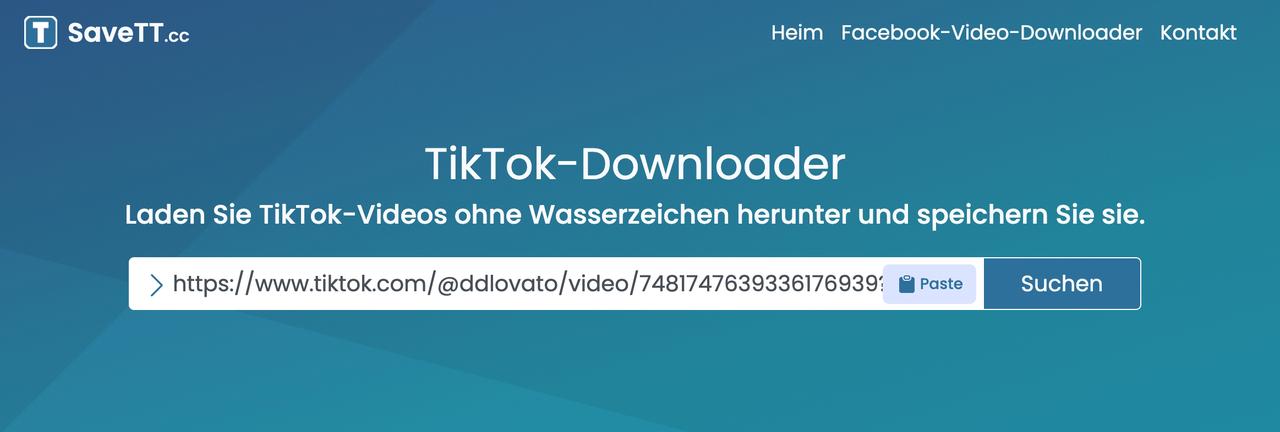 Videolink in das Eingabefeld einfügen