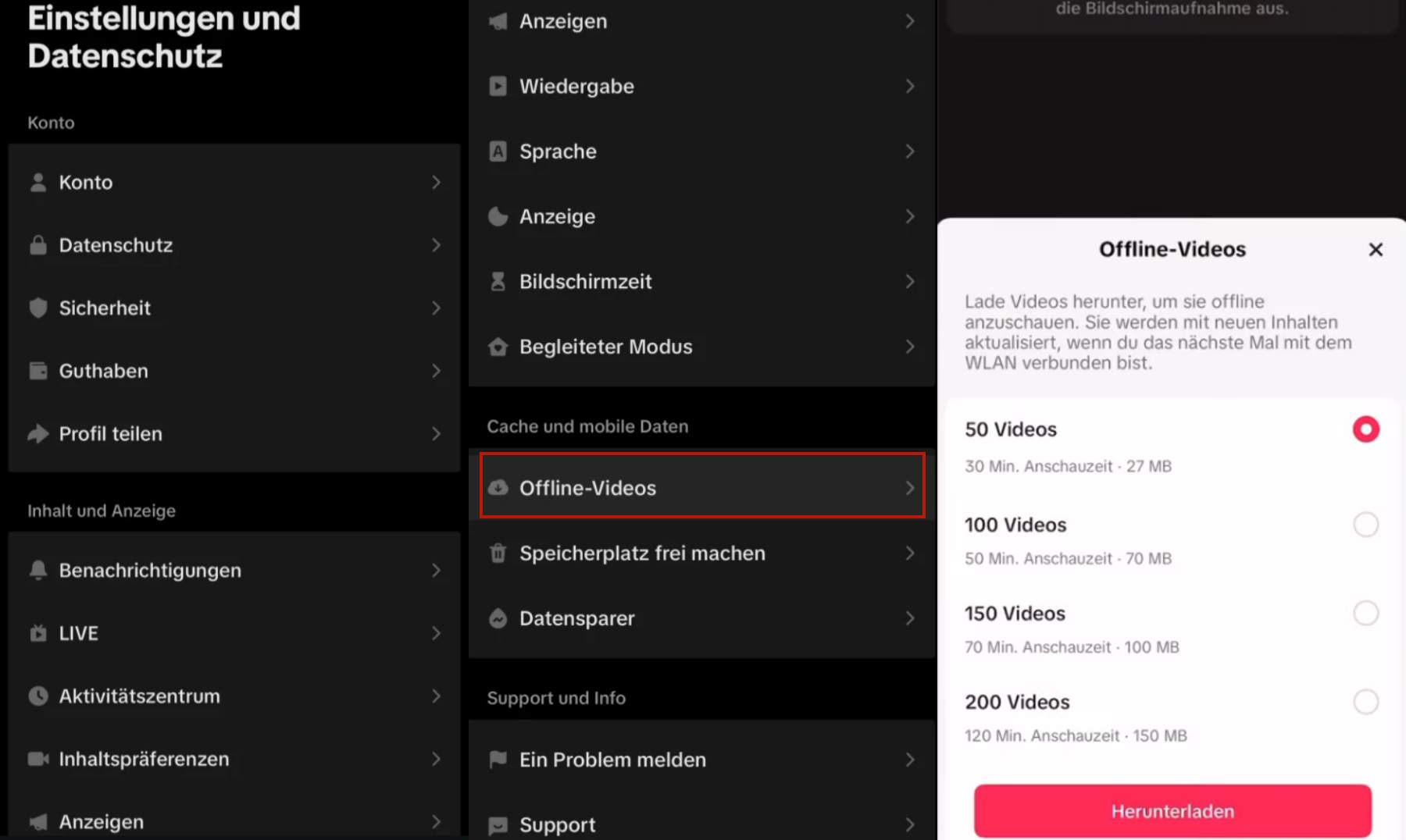 Videos in TikTok offline schauen