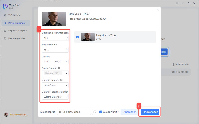 Videoparameter in VideOne einstellen