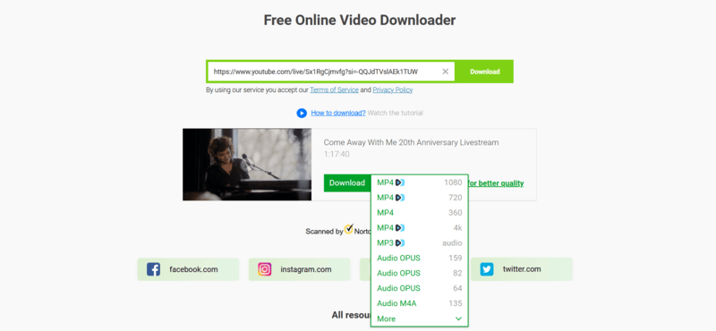 YouTube Livestream online donwloaden