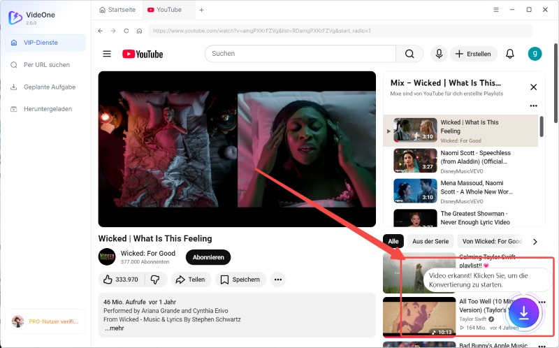 Geschützte Video mit VideoOne downloaden