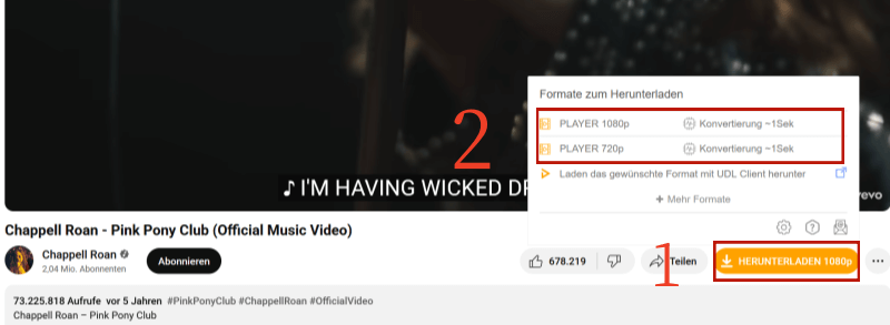 YouTube Video Download durch UDL Helper