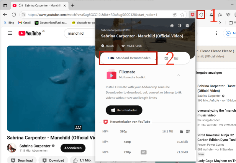 YouTube Video mit Addoncrop downloaden