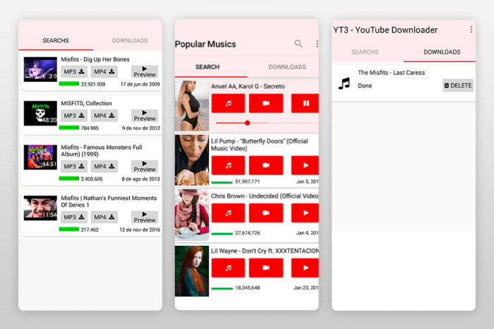 YT3 YouTube Downloader