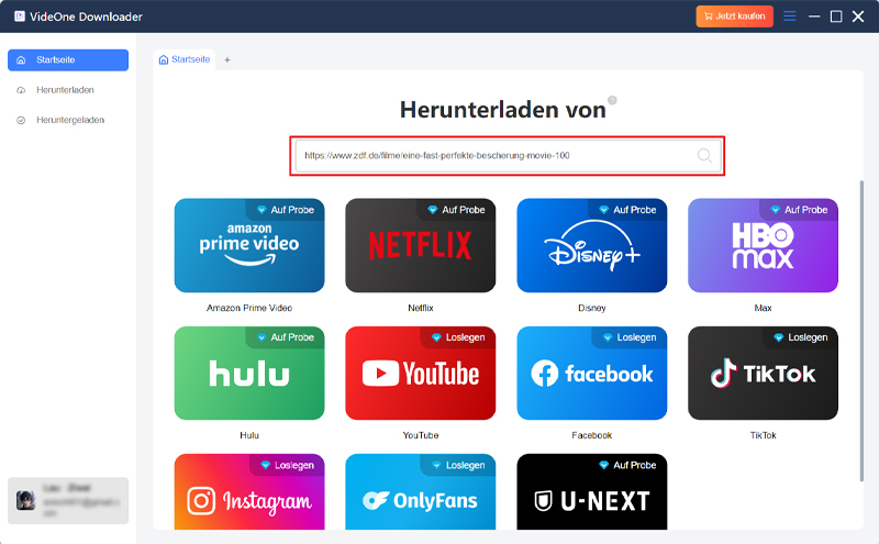 ZDF Link in VideOne Downloader eingeben